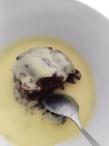 2-ingredient-chocolate-custard-dessert